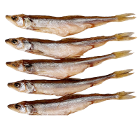Stinten ganz , gesalzen und getrocknet4kg